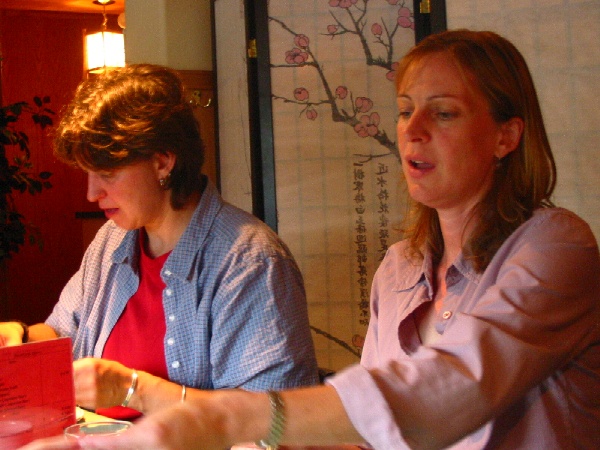 600x450 pixels (118K)